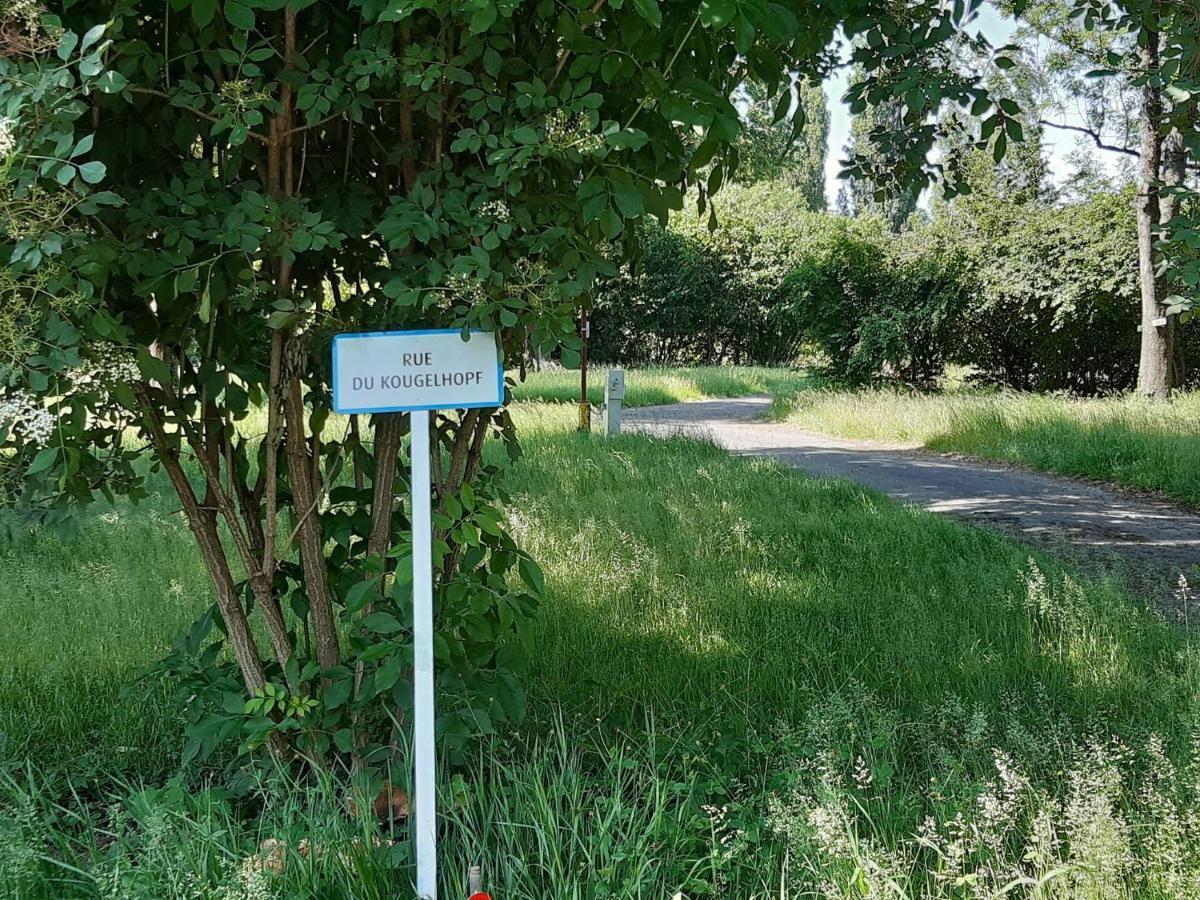 Camping De L'Ill Mulhouse Eksteriør billede